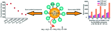 Graphical abstract: The strong dependence of the bi-functionalities of core–shell-like gold-based nanocomposites on the size of gold nanoparticles