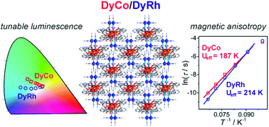 Graphical abstract: Achieving white light emission and increased magnetic anisotropy by transition metal substitution in functional materials based on dinuclear DyIII(4-pyridone)[MIII(CN)6]3− (M = Co, Rh) molecules