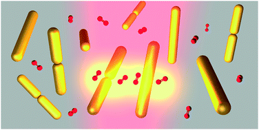 Graphical abstract: Magnetic light and forbidden photochemistry: the case of singlet oxygen