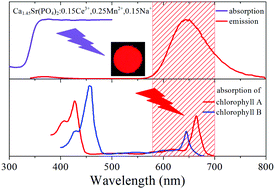 Graphical abstract: Near-UV-to-red light conversion through energy transfer in Ca2Sr(PO4)2:Ce3+,Mn2+ for plant growth