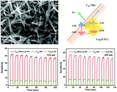 Graphical abstract: Enhancing the photosensitivity of C60 nanorod visible photodetectors by coupling with Cu2O nanocubes