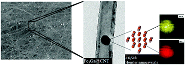 Graphical abstract: Carbon nanotube-assisted synthesis of ferromagnetic Heusler nanoparticles of Fe3Ga (Nano-Galfenol)