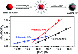 Graphical abstract: Simple synthesis of uniformly small gold nanoparticles for sensitivity enhancement in colorimetric detection of Pb2+ by improving nanoparticle reactivity and stability
