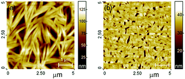 Graphical abstract: Spectroscopic characterization of the structural properties of quinoxalinophenanthrophenazine thin films