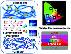 Graphical abstract: Systematic investigation of self-organization behavior in supramolecular π-conjugated polymer for multi-color electroluminescence