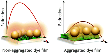 Graphical abstract: Plasmon-enhanced light absorption at organic-coated interfaces: collectivity matters