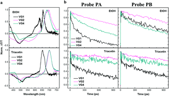 Graphical abstract: Excited state photophysics of squaraine dyes for photovoltaic applications: an alternative deactivation scenario