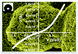 Graphical abstract: Superior electrical conduction of a water repelling 3D interconnected nano-network