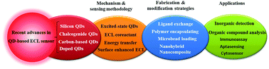 Graphical abstract: Recent advances in quantum dot-based electrochemiluminescence sensors