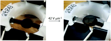 Graphical abstract: Dielectric elastomer actuators with increased dielectric permittivity and low leakage current capable of suppressing electromechanical instability