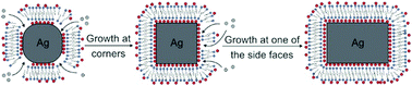 Graphical abstract: Site-selective growth of Ag nanocubes for sharpening their corners and edges, followed by elongation into nanobars through symmetry reduction