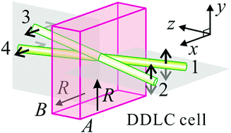 Graphical abstract: Optically controllable photonic crystals and passively tunable terahertz metamaterials using dye-doped liquid crystal cells