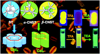 Graphical abstract: Room temperature columnar liquid crystalline self-assembly of acidochromic, luminescent, star-shaped molecules with cyanovinylene chromophores