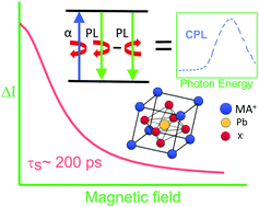 Graphical abstract: Circularly polarized photoluminescence and Hanle effect measurements of spin relaxation in organic–inorganic hybrid perovskite films