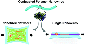 Graphical abstract: One-dimensional conjugated polymer nanomaterials for flexible and stretchable electronics