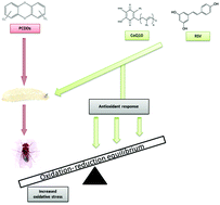 Graphical abstract: Protective effects of coenzyme Q10 and resveratrol on oxidative stress induced by various dioxins on transheterozigot larvae of Drosophila melanogaster