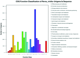 Graphical abstract: Differential gene responses in the embryo of the green mussel Perna viridis exposed to dichlorodiphenyltrichloroethane (DDT)