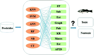 Graphical abstract: In silico prediction of pesticide aquatic toxicity with chemical category approaches