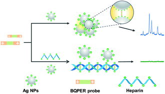 Graphical abstract: In situ formation of SERS hot spots by a bis-quaternized perylene dye: a simple strategy for highly sensitive detection of heparin over a wide concentration range