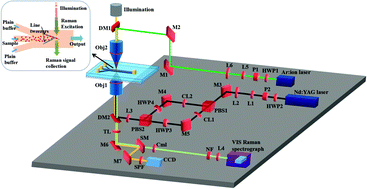 Graphical abstract: Optical guiding-based cell focusing for Raman flow cell cytometer