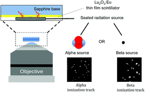Graphical abstract: Development and characterization of a scintillating cell imaging dish for radioluminescence microscopy