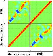 Graphical abstract: Gene expression data and FTIR spectra provide a similar phenotypic description of breast cancer cell lines in 2D and 3D cultures