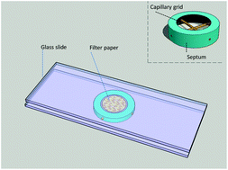 Graphical abstract: Smart blood spots for whole blood protein analysis