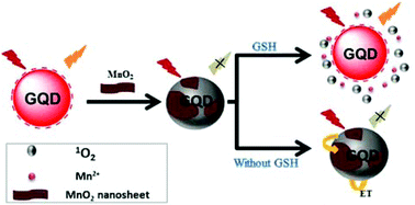 Graphical abstract: A graphene quantum dot-based multifunctional two-photon nanoprobe for the detection and imaging of intracellular glutathione and enhanced photodynamic therapy