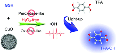 Graphical abstract: Glutathione-driven Cu(i)–O2 chemistry: a new light-up fluorescent assay for intracellular glutathione