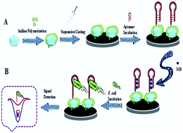 Graphical abstract: Aptamer immobilization on amino-functionalized metal–organic frameworks: an ultrasensitive platform for the electrochemical diagnostic of Escherichia coli O157:H7