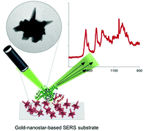 Graphical abstract: Gold-nanostar-based SERS substrates for studying protein aggregation processes
