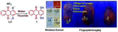 Graphical abstract: A simple colorimetric sensor for the detection of moisture in organic solvents and building materials: applications in rewritable paper and fingerprint imaging