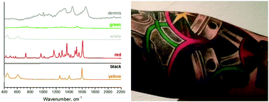 Graphical abstract: Confocal Raman microscopy combined with optical clearing for identification of inks in multicolored tattooed skin in vivo