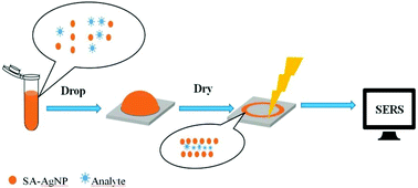 Graphical abstract: Determination of the illegal adulteration of natural healthcare products with chemical drugs using surface-enhanced Raman scattering