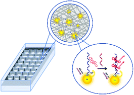 Graphical abstract: Paper-based platform for detection by hybridization using intrinsically labeled fluorescent oligonucleotide probes on quantum dots