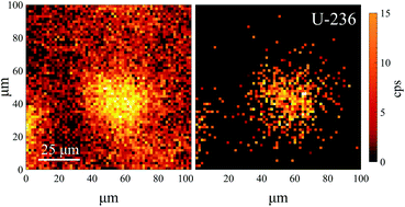 Graphical abstract: Direct, uncorrected, molecule-free analysis of 236U from uranium-bearing particles with NAUTILUS: a new kind of mass spectrometer