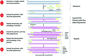 Graphical abstract: A review of methods for the detection of pathogenic microorganisms