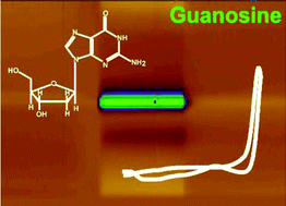 Graphical abstract: Subsecond detection of guanosine using fast-scan cyclic voltammetry