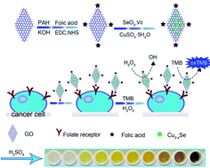 Graphical abstract: Visual detection of cancer cells by using in situ grown functional Cu2−xSe/reduced graphene oxide hybrids acting as an efficient nanozyme