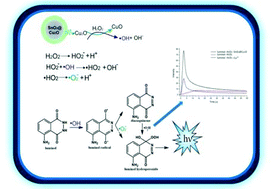 Graphical abstract: Tin oxide nanoparticles modified by copper as novel catalysts for the luminol–H2O2 based chemiluminescence system