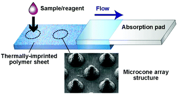 Graphical abstract: Thermally imprinted microcone structure-assisted lateral-flow immunoassay platforms for detecting disease marker proteins
