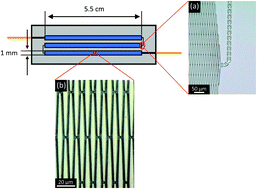 Graphical abstract: Study of peak capacities generated by a porous layered radially elongated pillar array column coupled to a nano-LC system