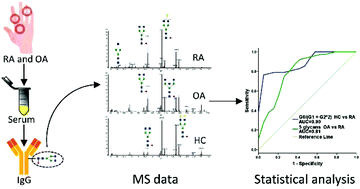 Graphical abstract: Distribution of abnormal IgG glycosylation patterns from rheumatoid arthritis and osteoarthritis patients by MALDI-TOF-MSn