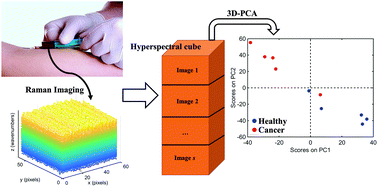 Graphical abstract: A three-dimensional principal component analysis approach for exploratory analysis of hyperspectral data: identification of ovarian cancer samples based on Raman microspectroscopy imaging of blood plasma