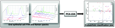 Graphical abstract: Chemometric analysis of integrated FTIR and Raman spectra obtained by non-invasive exfoliative cytology for the screening of oral cancer