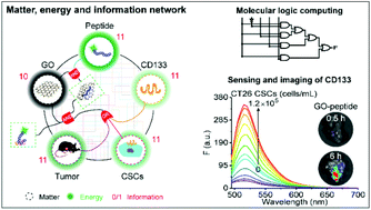 Graphical abstract: Matter, energy and information network of a graphene-peptide-based fluorescent sensing system for molecular logic computing, detection and imaging of cancer stem cell marker CD133 in cells and tumor tissues