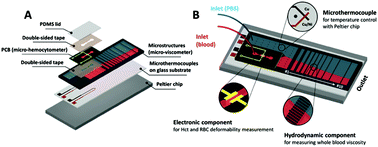 Graphical abstract: A physiometer for simultaneous measurement of whole blood viscosity and its determinants: hematocrit and red blood cell deformability