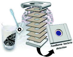 Graphical abstract: One-step sensing of foodborne pathogenic bacteria using a 3D paper-based device