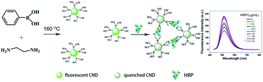 Graphical abstract: Facile synthesis of boronic acid-decorated carbon nanodots as optical nanoprobes for glycoprotein sensing