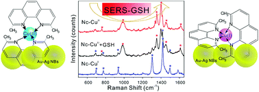 Graphical abstract: Metal coordination-functionalized Au–Ag bimetal SERS nanoprobe for sensitive detection of glutathione